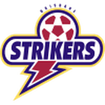 TEAM #3345 logo