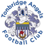 TEAM #3408 logo