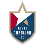 TEAM #3521 logo