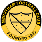 TEAM #3533 logo