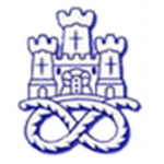 TEAM #3551 logo