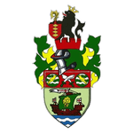 TEAM #3581 logo