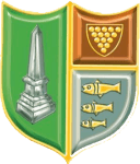 TEAM #3666 logo