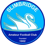 TEAM #3751 logo