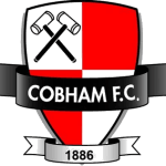 TEAM #3802 logo