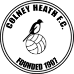 TEAM #3805 logo
