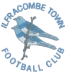 TEAM #3987 logo