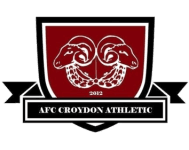 TEAM #4130 logo