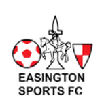 TEAM #4191 logo