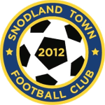 TEAM #4331 logo