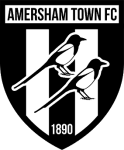 TEAM #4336 logo