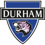 TEAM #4381 logo