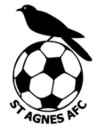 TEAM #4659 logo