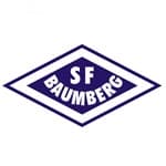 TEAM #4847 logo