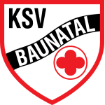 TEAM #4893 logo