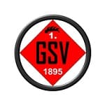 TEAM #5065 logo