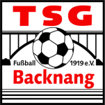 TEAM #5293 logo
