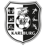 TEAM #5369 logo