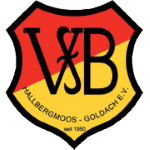 TEAM #5381 logo
