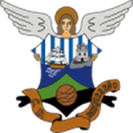 TEAM #5508 logo
