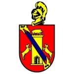 TEAM #5511 logo