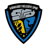TEAM #581 logo