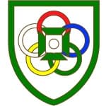 TEAM #6029 logo
