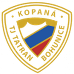 TEAM #6148 logo