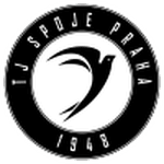 TEAM #6179 logo