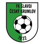 TEAM #6210 logo