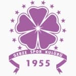 TEAM #7082 logo