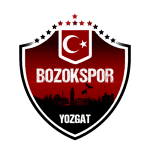 TEAM #7262 logo