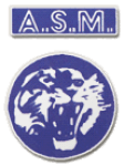 TEAM #7512 logo