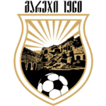 TEAM #8197 logo
