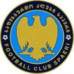TEAM #8199 logo