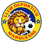 TEAM #8262 logo