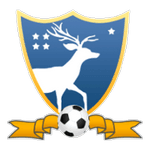 TEAM #8264 logo