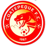 TEAM #8293 logo