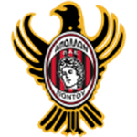 TEAM #8336 logo