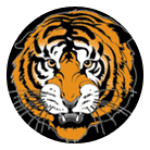 TEAM #8699 logo