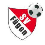 TEAM #8893 logo