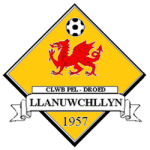 TEAM #9029 logo