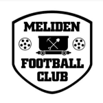 TEAM #9086 logo