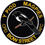 TEAM #9101 logo