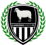 TEAM #9109 logo