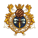 TEAM #9132 logo