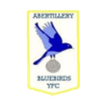 TEAM #9139 logo