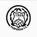 TEAM #9145 logo