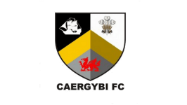 TEAM #9153 logo
