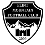 TEAM #9167 logo